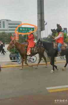 保定市朝陽北大街：一隊人馬招搖過市?交警：沒看見