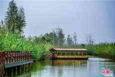 尋秋水鄉(xiāng)｜洪澤湖濕地美景美食美時(shí)光