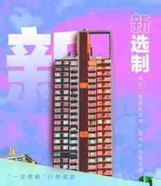 香港特區(qū)立法會(huì)選舉：新選制新面孔新氣象