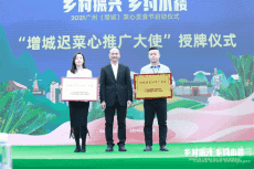 冬至后吃菜心！淘菜菜直采模式“保鮮保甜”