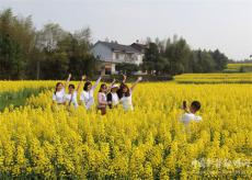 百里油菜花似海?助力百姓發(fā)“油財(cái)”