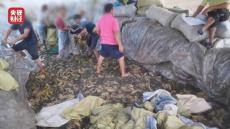 老坑酸菜”企業(yè)相關(guān)人員已被控制！