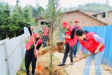 湖南移動武岡公司開展義務(wù)植樹志愿者活動