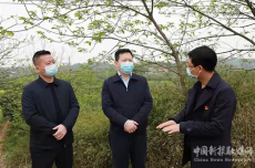 珠暉區(qū)領(lǐng)導(dǎo)督導(dǎo)清明期間森林防火、疫情防控工作