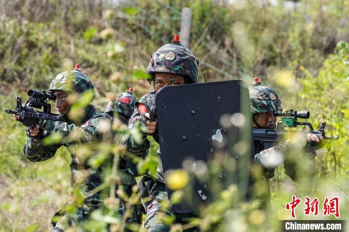特戰(zhàn)隊(duì)員對(duì)從林地進(jìn)行搜索?！『铘敃x 攝