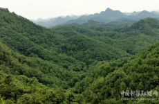 守護(hù)藥材“健康”，檔案出具“良方”