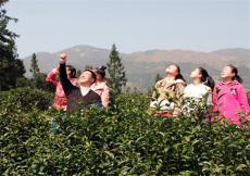 多彩活動(dòng)，相伴成長(zhǎng)