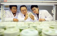 推動(dòng)共建人類衛(wèi)生健康共同體