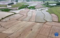 無(wú)人機(jī)、旋耕機(jī)、插秧機(jī)——春耕大地農(nóng)機(jī)顯身手