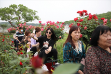 突破10萬！小長假旅游回暖，衡陽珠暉區(qū)迎來客流小高峰！