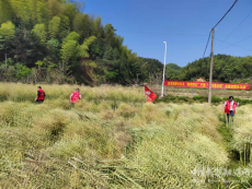 衡陽縣金溪鎮(zhèn)：人在深山心向黨，志愿路上顯真情