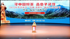 “瀟湘·邵陽(yáng)紅”第三屆舜皇山野茶節(jié)在湖南新寧縣隆重開幕