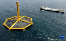 我國首批大西洋鮭喜獲豐收 “海上糧倉”漸入“深藍