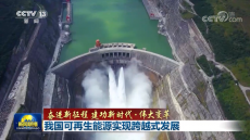 我國可再生能源實(shí)現(xiàn)跨越式發(fā)展