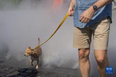 歐洲熱浪仍將持續(xù) 高溫影響未來(lái)數(shù)十年