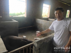 【迎二十大，喜看信合黨旗紅】主題采訪報(bào)道