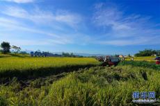 鄉(xiāng)村振興在行動(dòng)｜一個(gè)傳統(tǒng)農(nóng)業(yè)大區(qū)的“新賽道”