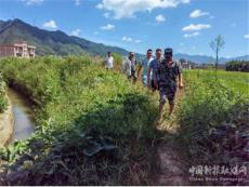 ?“渴”不容緩，汝城縣井坡鎮(zhèn)黨群齊心抗旱保糧