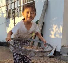 休寧縣溪口：親身實(shí)踐方知糧貴 ?“光盤”理念植根童心