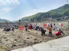 隆回縣金石橋鎮(zhèn)中銀小學(xué)扎實(shí)開展勞動教育