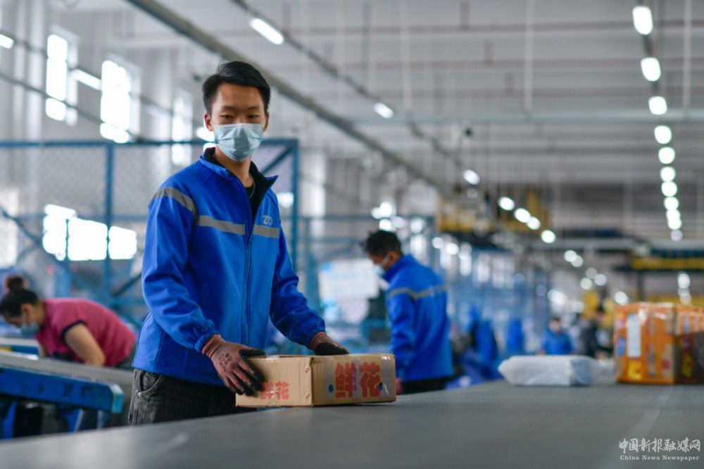 11月10日，工作人員在位于貴州省龍里縣的貴州快遞物流園一家快遞分撥中心分揀快遞。新華社記者 楊文斌 攝