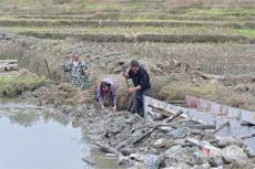 隆回金石橋鎮(zhèn)：高標準農(nóng)田改造提高糧食產(chǎn)能