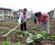 校園小農(nóng)場? ? ?快樂伴成長
