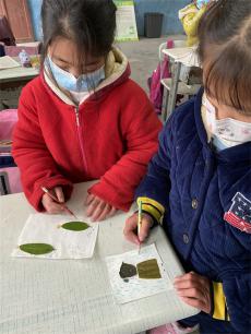 “雙減”在行動—華溪小學開展樹葉手工制作活動