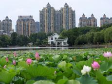 合肥王建溝中游生態(tài)修復工程開工