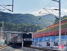 中老鐵路運來“洋年貨”