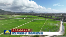 【新思想引領新征程】攥緊中國種子 端穩(wěn)中國飯碗