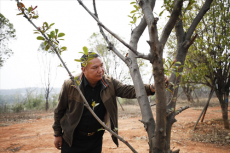 蔡建華：他20年來捐贈樹苗，構筑鄉(xiāng)村靚麗道路風景線