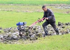 隆回縣金石橋鎮(zhèn)：春暖大地農(nóng)事忙