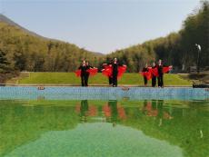 安徽廬江：“民宿+總部經(jīng)濟(jì)” 繪就鄉(xiāng)村振興新畫卷