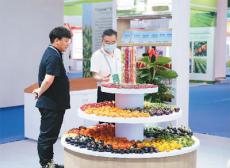 一粒種子，書寫“土特產(chǎn)”大文章