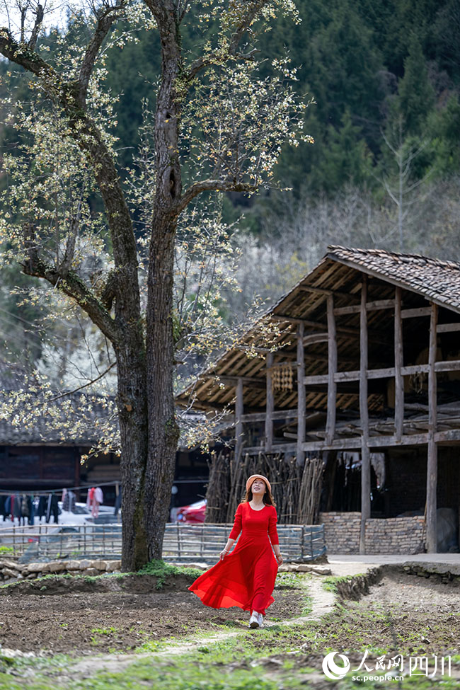 游客們行走在古村中。張?zhí)烀鲾z