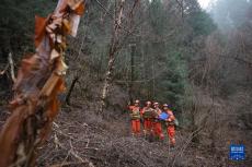 清明巡護(hù)，守護(hù)茫茫林海