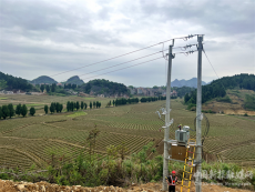 湖南新田：推動(dòng)用電營商環(huán)境優(yōu)化?助力電力服務(wù)水平提升