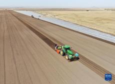 壩上地區(qū)播種忙