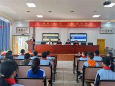 武岡市第二實驗小學開展“稅法進校園”活動