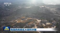 我國(guó)西南麥區(qū)大面積開(kāi)鐮