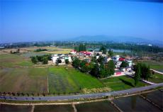 初夏田園生態(tài)美