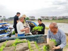 洞口縣高沙鎮(zhèn)：“三湘護(hù)農(nóng)” 紀(jì)委在行動