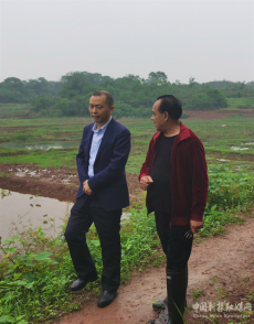 魏春生深入歸陽鎮(zhèn)調(diào)研村集體經(jīng)濟(jì)發(fā)展