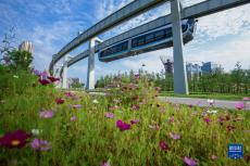 駛向未來！“光谷光子號”空軌建成試跑