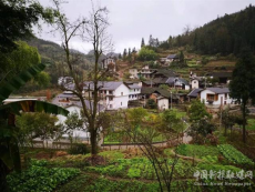 鄉(xiāng)村振興路 實現(xiàn)新作為——桐梓茅石鎮(zhèn)鄉(xiāng)村振興工作側記