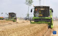 機收“比武”保豐收 “中原糧倉”迎來麥收時刻