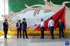 “中國攻克雜交水稻難關(guān)50周年”展覽在京開幕
