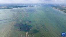 天空之眼瞰湛江：向海而興 向海圖強(qiáng) 向海“湛”放