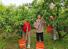 安徽廬江：“志愿紅”助力“廬江好物”出圈